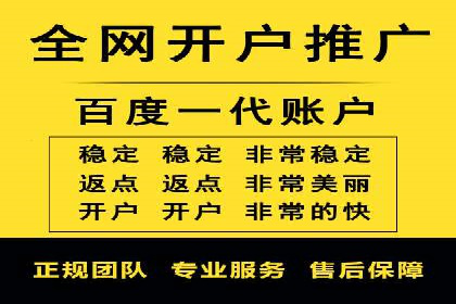 案例研究：SEM代运营服务公司的创新策略